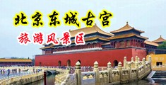 www.操骚逼中国北京-东城古宫旅游风景区